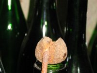 Champagne Okt 07-091